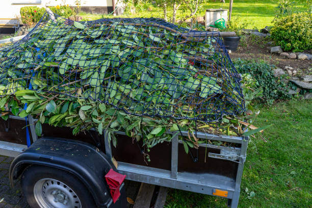 Shed Removal in Hollymead, VA